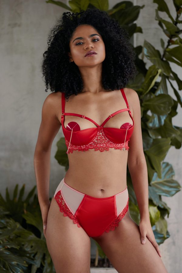 Anaise Red Highwaist Brief Supply