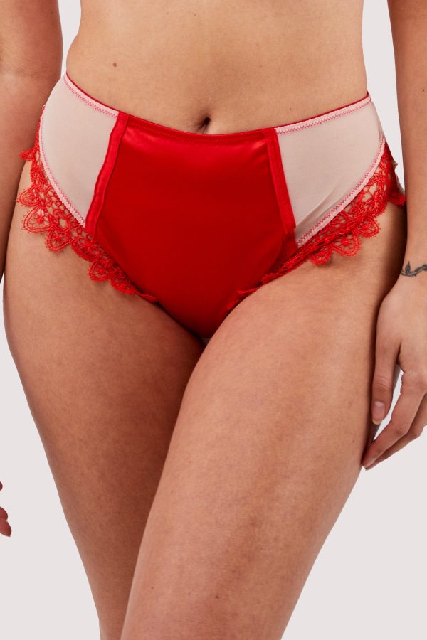 Anaise Red Highwaist Brief Supply