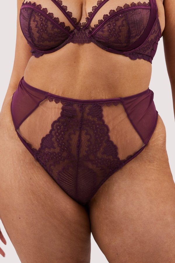 Astrid Merlot Lace And Trim High Waisted Brief Online