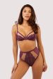 Astrid Merlot Lace And Trim High Waisted Brief Online