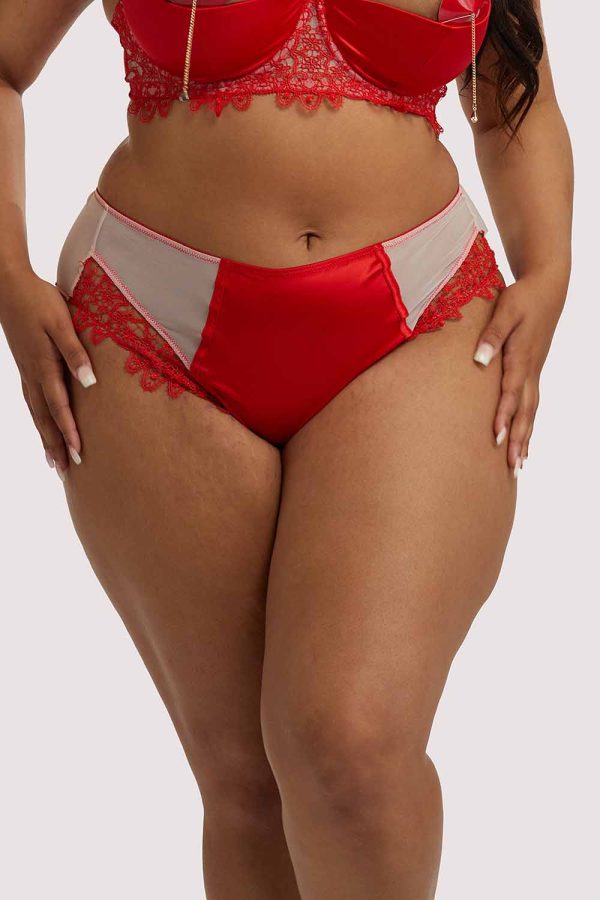 Anaise Red Highwaist Brief Supply