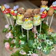 Woodland Creatures cake pop set Supply