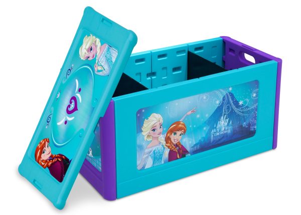 Frozen Store & Organize Toy Box Online now