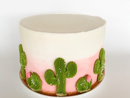 Cactus Cake For Discount