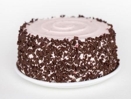 Chocolate Raspberry Cake Supply