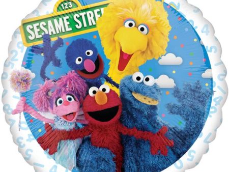 Sesame Street Portrait For Discount