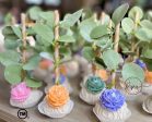 Baby in bloom Cake pops on Sale