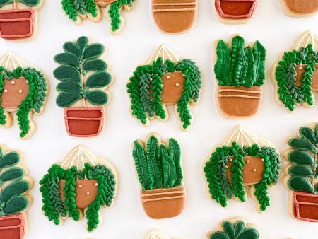 Potted Plant Sugar Cookie Set For Cheap