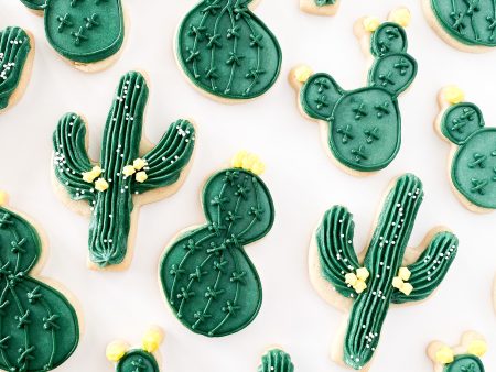 Cactus Sugar Cookie Set For Sale