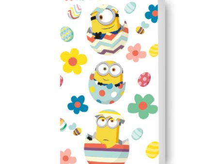 Despicable Me Easter Money Wallet Discount