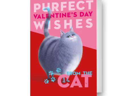 The Secret Life Of Pets Valentine s Day Card  From The Cat  Supply