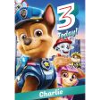 Paw Patrol Personalised Age 3 Birthday Card Online