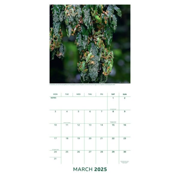 BBC EARTH 2025 SQUARE CALENDAR For Sale