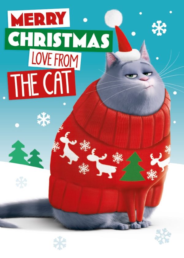 Secret Life of Pets From The Cat Christmas Card For Cheap