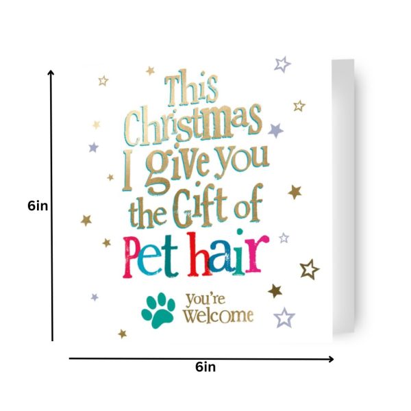 Brightside  From the Pet  Christmas Card For Discount