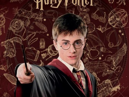 HARRY POTTER MOVIE 2025 SQUARE CALENDAR Hot on Sale