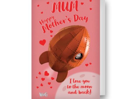 Wallace & Gromit  I Love You To The Moon And Back  Mother s Day Card Discount