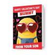 Despicable Me Minions Personalised Valentine s Day Card  From Your...  Sale