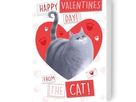 The Secret Life of Pets  From the Cat  Valentine s Day Card Online Sale