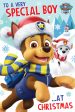 Paw Patrol  Special Boy  Christmas Card Online Sale