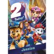 Paw Patrol Personalised Age 2 Birthday Card Online now