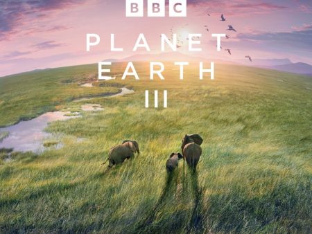 BBC EARTH 2025 SQUARE CALENDAR For Sale