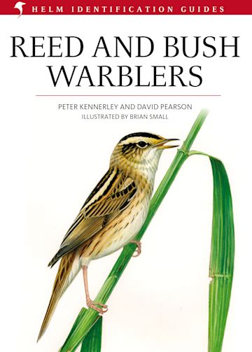 Reed And Bush Warblers For Cheap