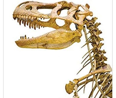 Encyclopedia Of Dinosaurs Online Hot Sale